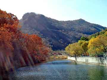 奥门天天开奖免费资料，凌天佣兵团